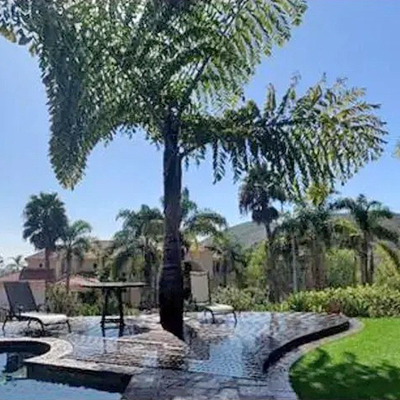 Backyard flagstone patio and spa beside a palm tree and lawn
