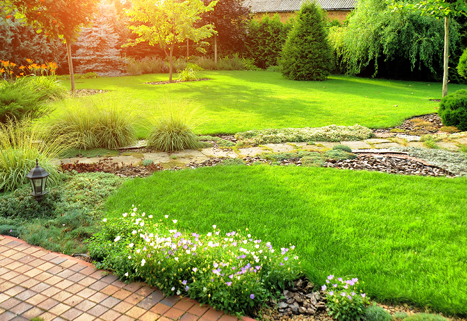 Landscaped backyard with a lush lawn, flower beds, shrubs and a stone pathway